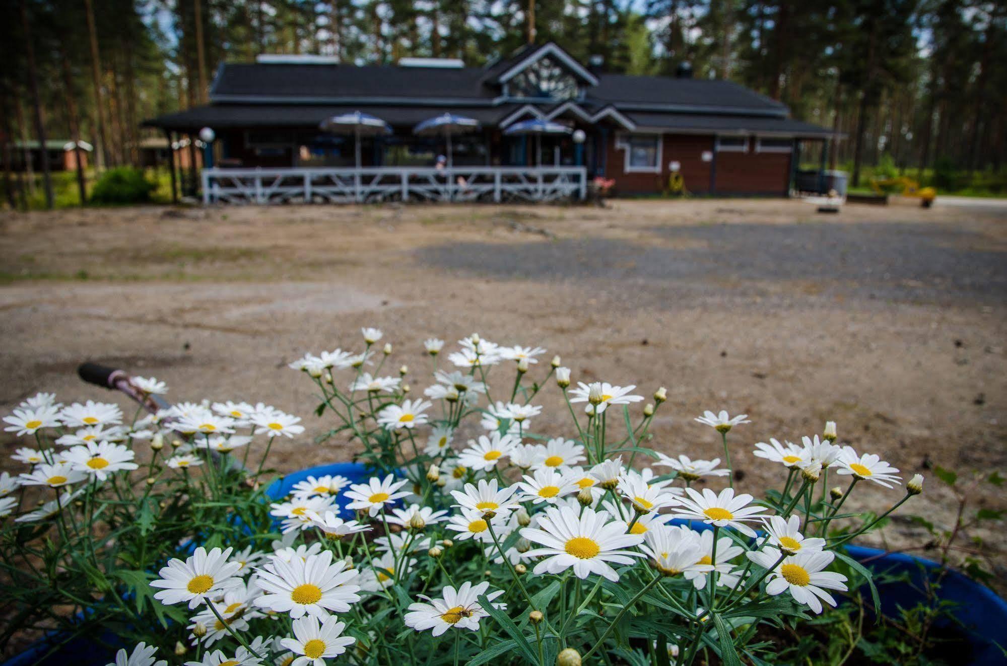 Ahvenlampi Camping Saarijärvi Exterior foto